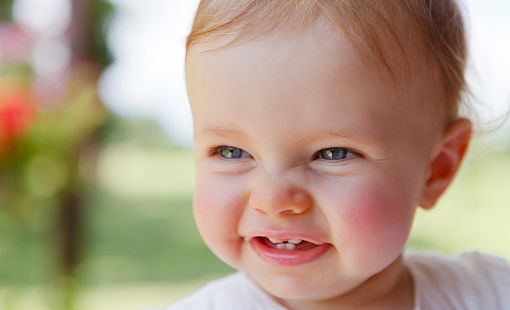 Neues aus der Forschung