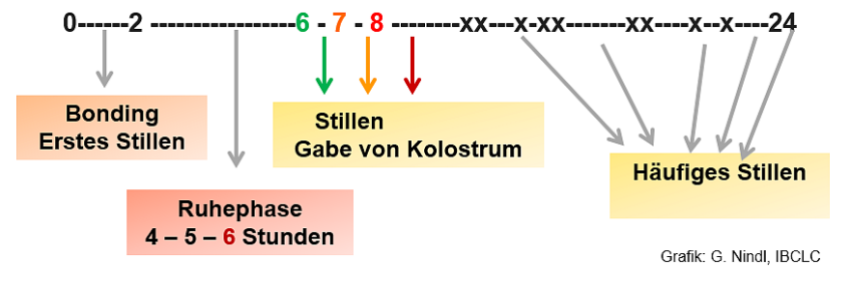 Erste_24_Stunden